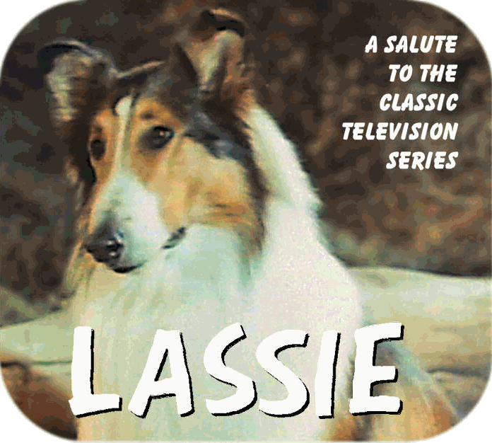 Lassie  Dog tv shows, Collie dog, Rough collie