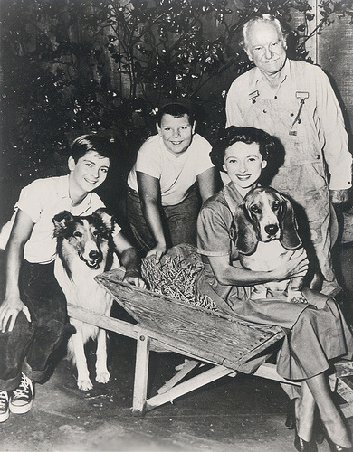 Tommy Rettig, Donald Keeler, Jan Clayton, George Cleveland, Lassie, and Pokey