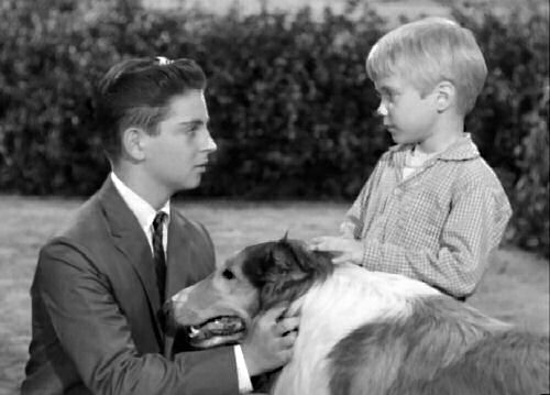 Tommy Rettig and Lassie