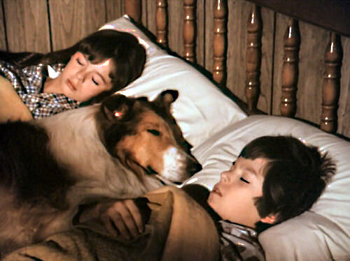 Shane Sinutko, Sally Boyden and Lassie