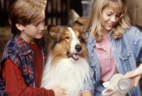 Tom Guiry, Lassie, and Michelle Williams