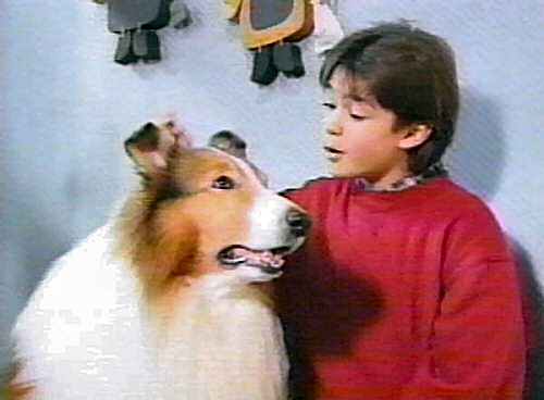 Lassie with Corey Sevier