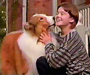 Episode 66  Lassie's Boy Sidekick: Meet Jon Provost, aka Timmy - School  For The Dogs