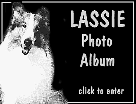 Lassie photo album cover shot