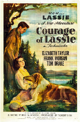 Courage of Lassie poster