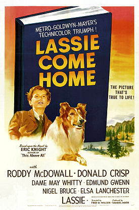 Courage of Lassie Original 1946 Argentine Movie Poster