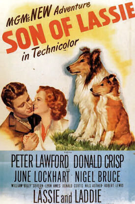 Son of Lassie poster