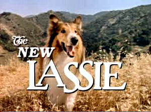 The New Lassie Episode Guide