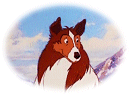 Lassie's Icon